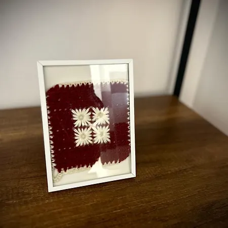 Отель Budget 3*